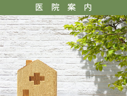 診療案内